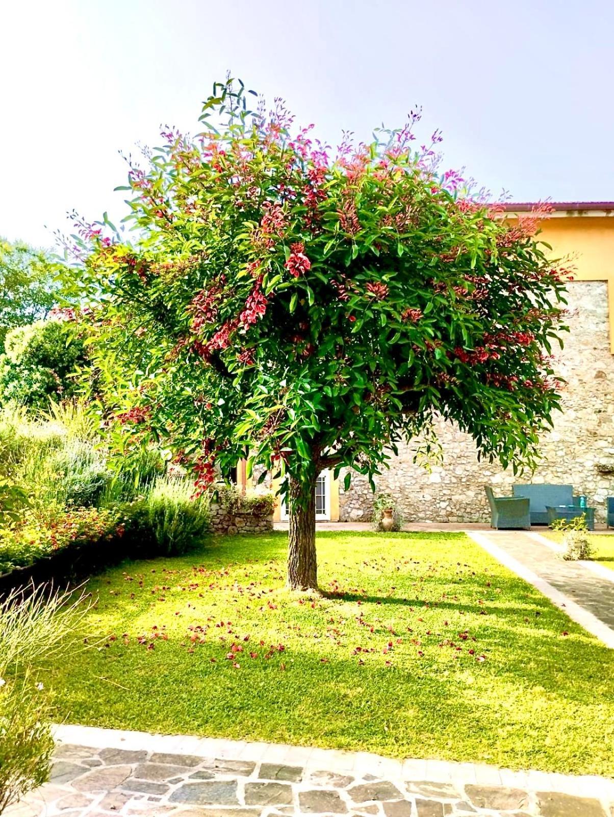 Country House Felicia Giungano Exterior photo